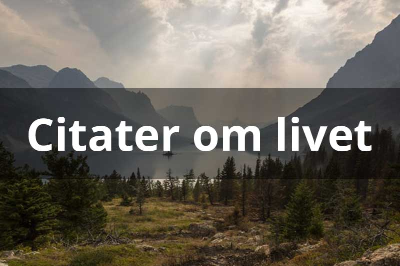 Citater Om Livet - Find Gode Og Kloge Citater Om Livet Fra Hele Verden Her!