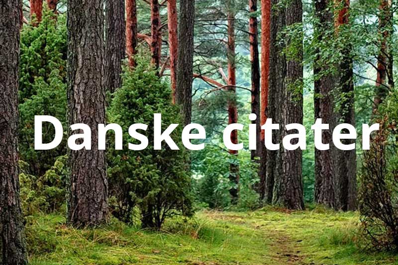 Danske Citater - Nogle Af De Bedste Danske Citater Gennem Tiden