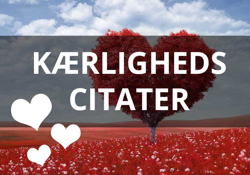 Citater Om Livet - Find Gode Og Kloge Citater Om Livet Fra Hele Verden Her!